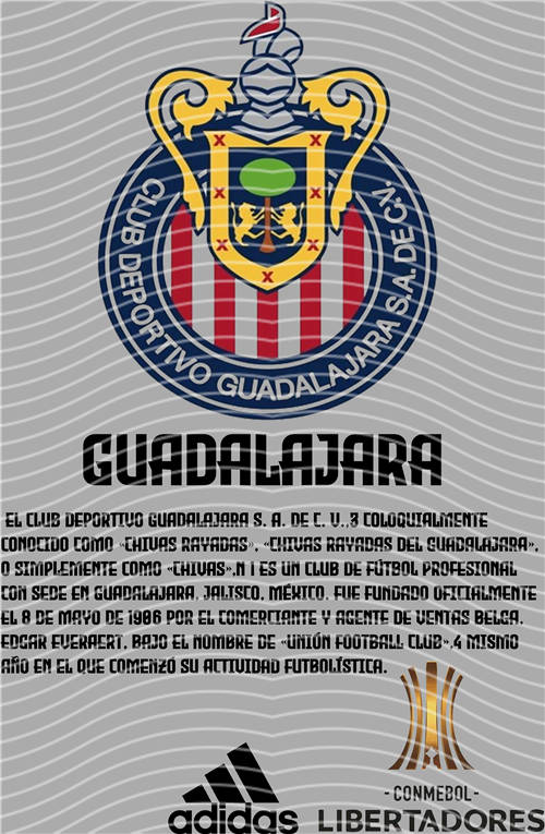 NBA and Team-QD 1148